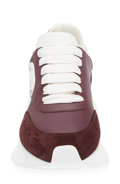 Alexander Mcqueen Seal Runner Sprint Sneaker In Burgundy/ White