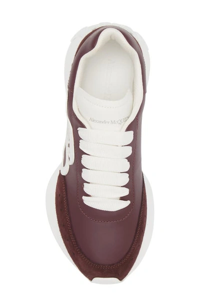 Alexander Mcqueen Seal Runner Sprint Sneaker In Burgundy/ White