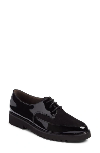 Shop Paul Green Soho Derby In Black Patent Combo