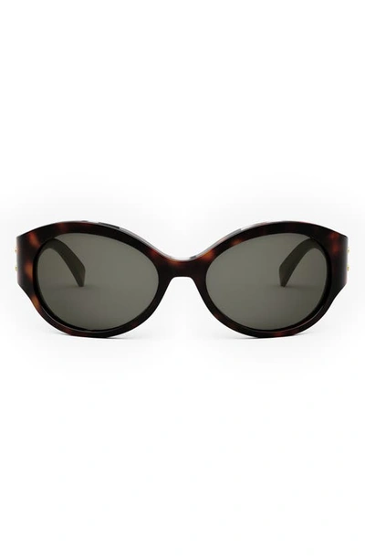 Shop Celine Triomphe 62mm Oval Sunglasses In Dark Havana / Smoke