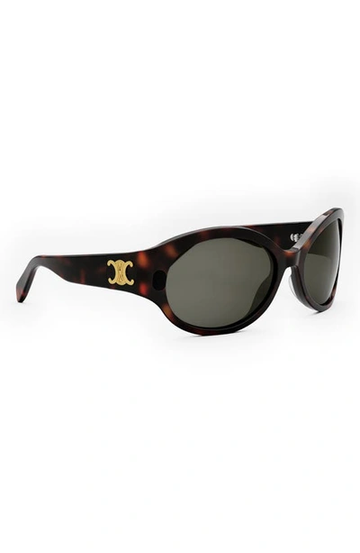 Shop Celine Triomphe 62mm Oval Sunglasses In Dark Havana / Smoke