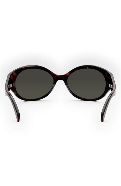 Shop Celine Triomphe 62mm Oval Sunglasses In Dark Havana / Smoke