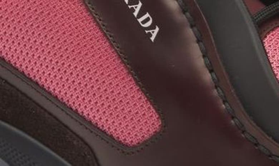 Shop Prada New Mixed Media Sneaker In Granato/ Peonia