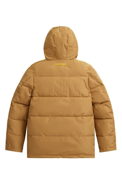 Shop Alpha Industries Water Resistant Hooded Puffer Jacket In Bronzed Brown