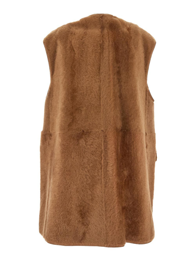 Shop Max Mara Aries Coat In Brown
