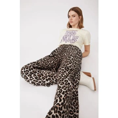 Shop Boho Beach Fest Leopard Pantalon Jake In Animal Print