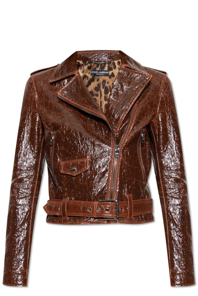 Shop Dolce & Gabbana Belted Cropped Biker Jacket In Brown