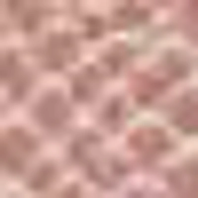 Bebe Kate Shopper In Blush