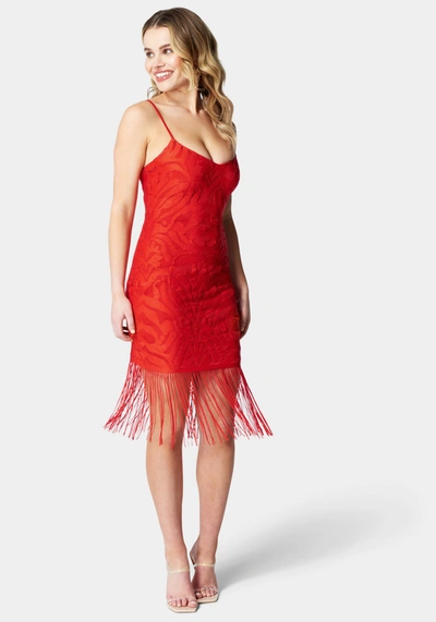 Shop Bebe Fringe Hem Lace Dress In High Risk Red,nude