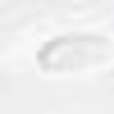 Bebe Eyelet Detail Wide Leg Pant In White Alyssum