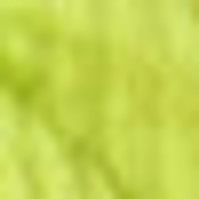 Bebe Cold Shoulder Ring Detail Knit Top In Cyber Lime