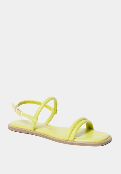 Shop Bebe Luzzy In Lemon Faux