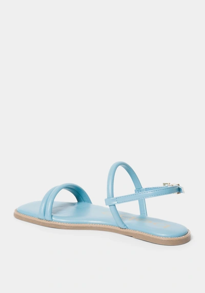 Bebe Luzzy In Blue Faux