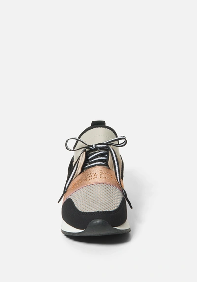 Shop Bebe Brienna A  Logo Sneakers In Rose Gold