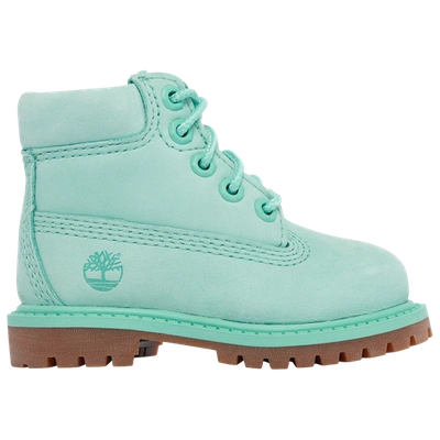 Shop Timberland Boys  6" Premium 50th Anniversary In Teal/teal