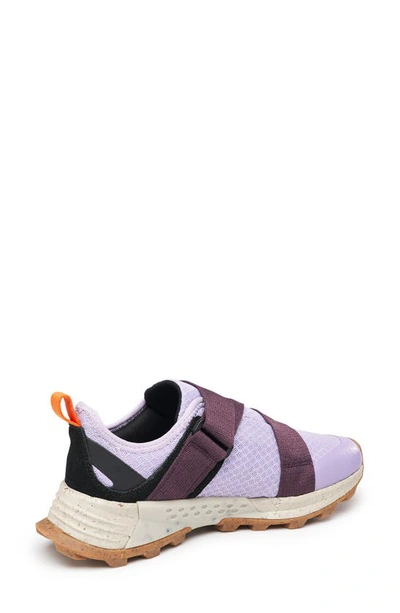 Shop Holo Footwear Artemis Strap Sneaker In Purple Rose