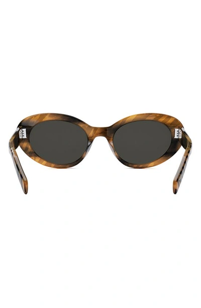Shop Celine Bold 3 Dots 53mm Round Sunglasses In Animal / Smoke