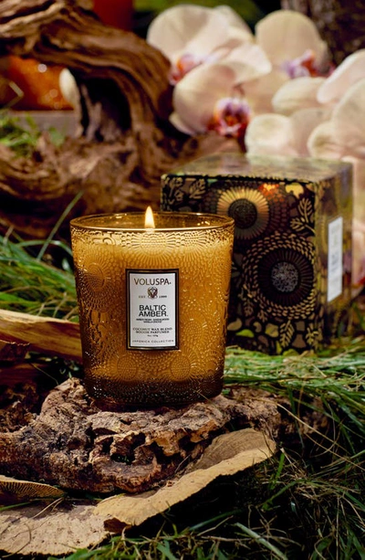Voluspa Baltic Amber Candle In Baltic Amber