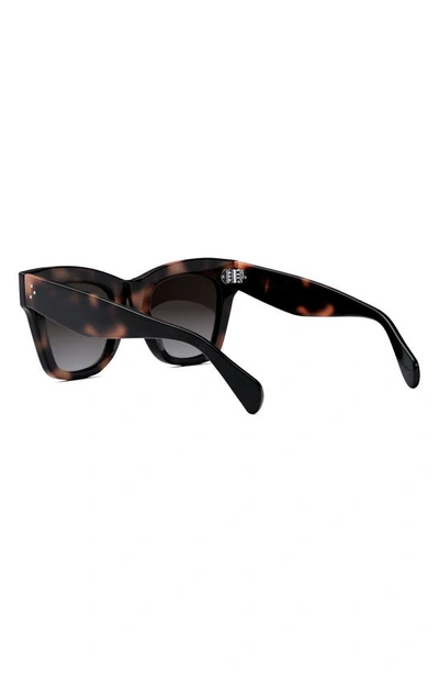 Shop Celine Bold 3 Dots 50mm Small Gradient Butterfly Sunglasses In Havana / Gradient Roviex