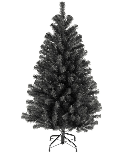 Shop National Tree Company 4.5ft North Valley Black Spruce Tree