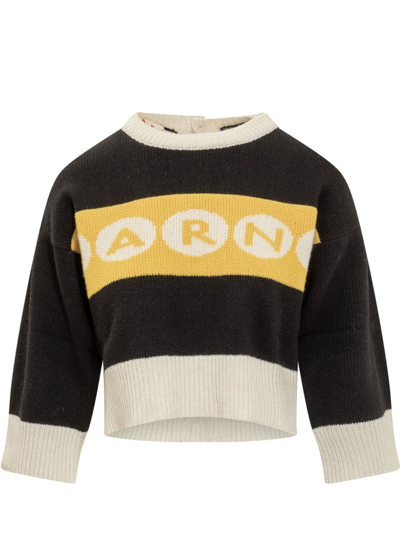 Shop Marni Logo Intarsia Cropped Knitted Jumper In Black
