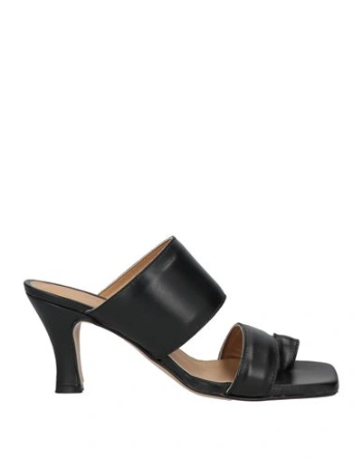 Shop Claire Woman Thong Sandal Black Size 6 Soft Leather