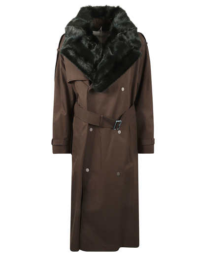 Shop Burberry Fur Double-breasted Belted Coat In Otter