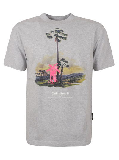 Shop Palm Angels Douby Lost In Amazonia T-shirt In Mélange Grey