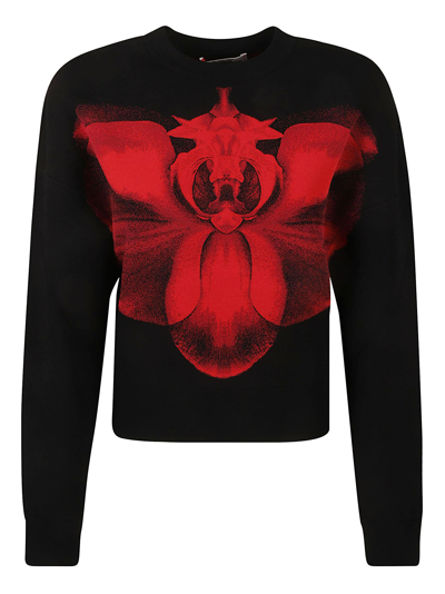 Shop Alexander Mcqueen Printed Sweater In Black/red