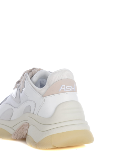 Shop Ash Sneakers  Addict In Leather In Bianco
