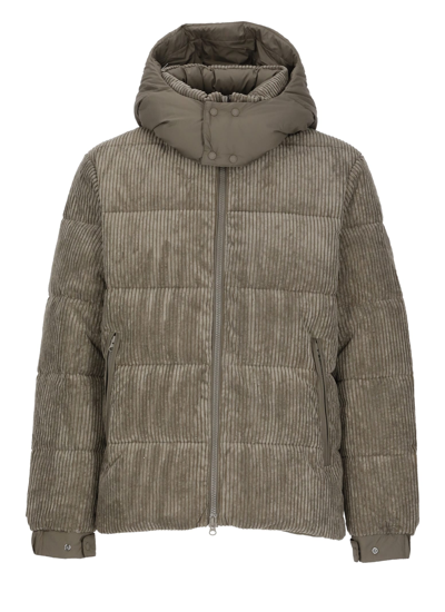 Shop Save The Duck Albus Padded Short Jacket In Beige