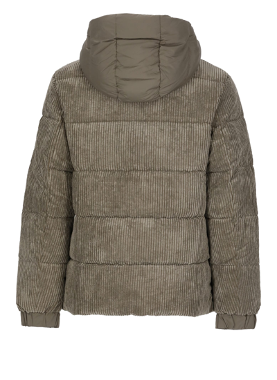 Shop Save The Duck Albus Padded Short Jacket In Beige