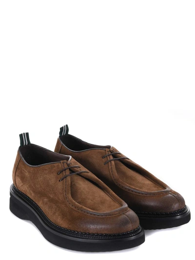 Shop Green George Shoes In Brown