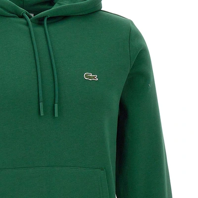 Shop Lacoste Sweatshirt In Green