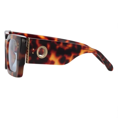 Linda Farrow Nieve Sunglasses In Havana