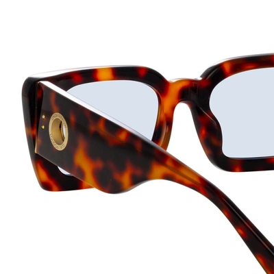 Linda Farrow Nieve Sunglasses In Havana