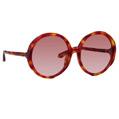 Linda Farrow Round Frame Sunglasses In Tartarugato