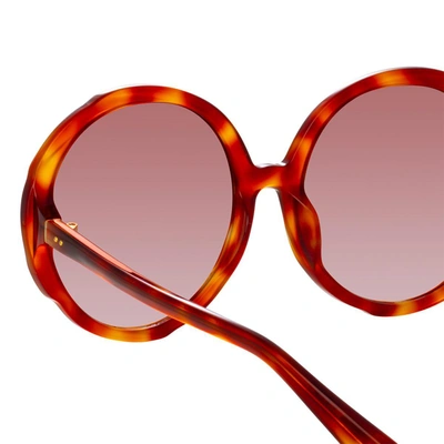 Linda Farrow Round Frame Sunglasses In Tartarugato