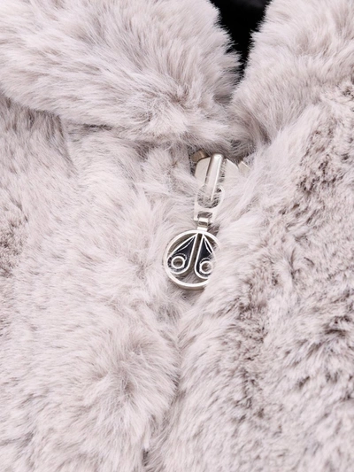 Moose Knuckles Jacket In Grey