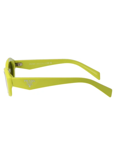 Prada 0pr 26zs Sunglasses In 13l08z Cedar/black