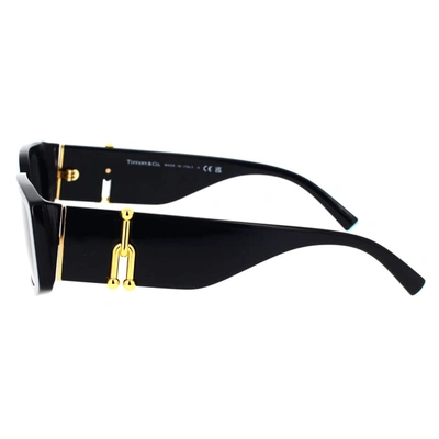 Tiffany & Co Tf4197 Rectangle-frame Acetate Sunglasses In Black