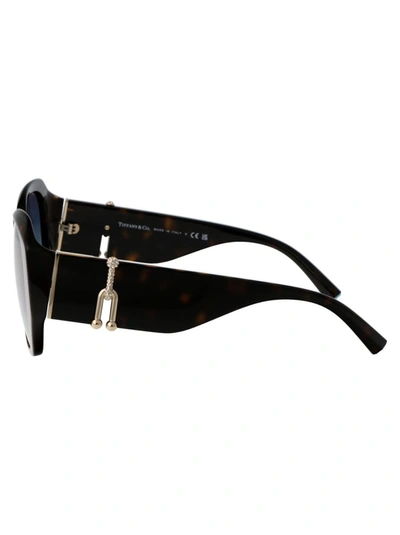Tiffany & Co Tiffany Havana Acetate Sunglasses In 80159s Havana