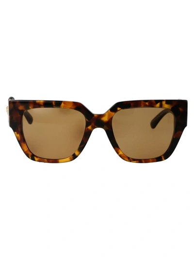 Shop Versace Sunglasses In 511983 Havana