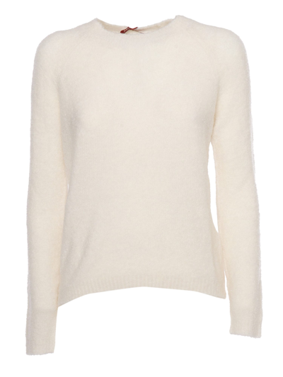 Shop Max Mara Fify Sweater In White