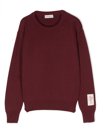 Shop Golden Goose Sweater With Application In Red