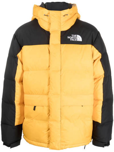 Shop The North Face Yellow Himalayan Hooded Padded Jacket