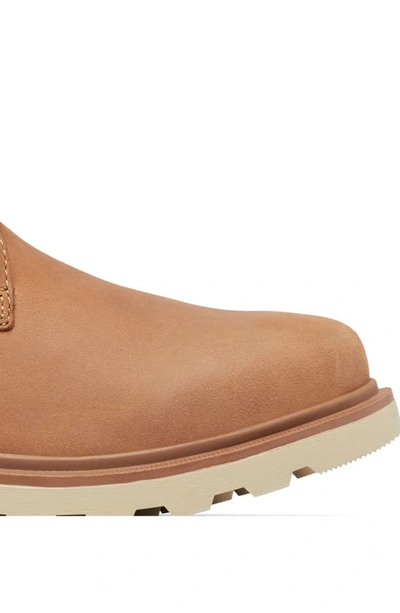 Shop Sorel Carson Waterproof Chukka Boot In Elk/ Oatmeal