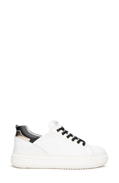 Shop Nerogiardini Skate Sneaker In White