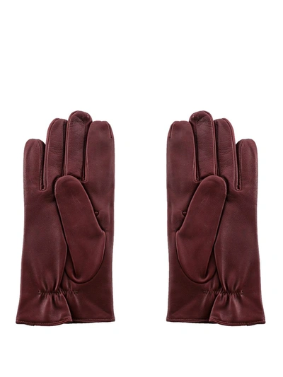 Shop Orciani Gloves In Bordeaux