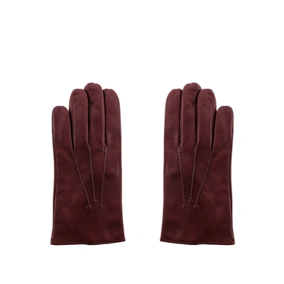 Shop Orciani Gloves In Bordeaux